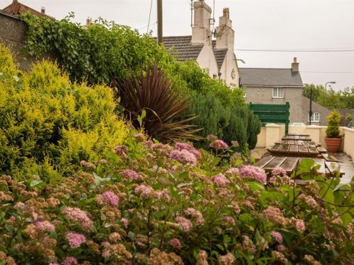 LlanfachraethHolland Hotel的一座种有粉红色花卉和灌木的花园