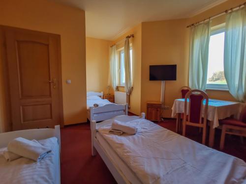 Legnickie Pole朵唯瑞客汽车旅馆的一间酒店客房,设有两张床和电视