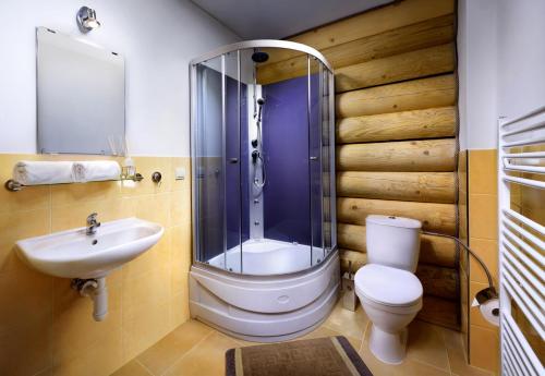 什特尔布斯凯普莱索High Tatras Chalet的带淋浴、卫生间和盥洗盆的浴室