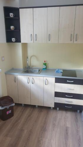 诺维萨德Apartments Kamenjar的厨房配有白色橱柜和水槽