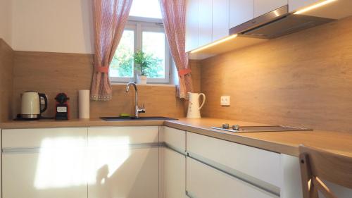 斯拉沃尼采Apartmány Na Potoku的厨房配有白色橱柜、水槽和窗户。
