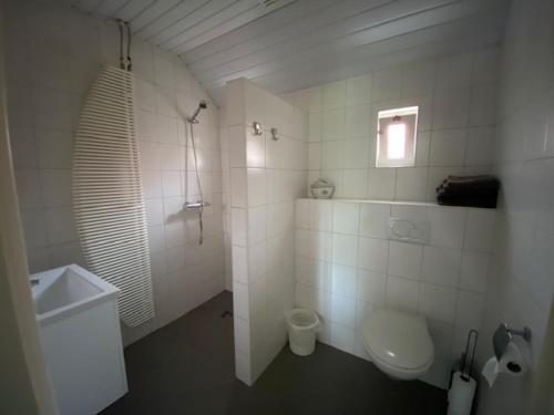 AlbergenBed and breakfast de Boerderij的白色的浴室设有卫生间和水槽。