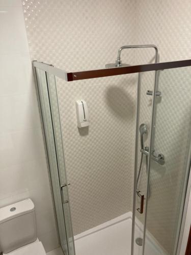 阿威罗Buddies Family Room的浴室里设有玻璃门淋浴