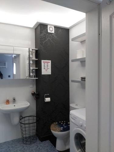 雷达Apartament "DESTINATION" przy AQUAPARKu的一间带水槽和洗衣机的浴室