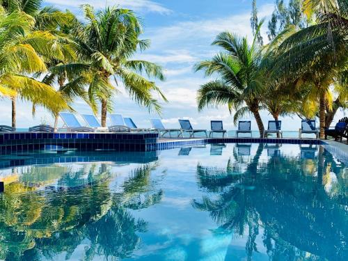 玛雅湾玛雅海滩酒店的一个带棕榈树和躺椅的游泳池