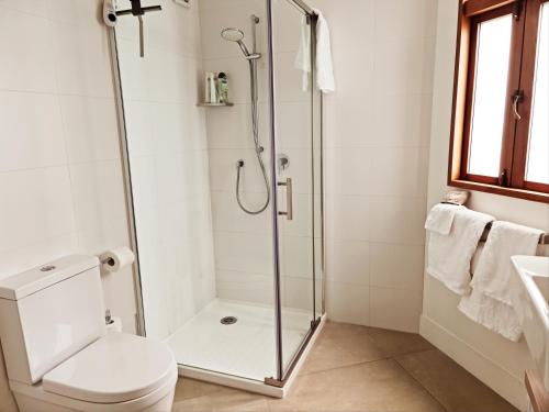 奥克兰帕内尔花园套房住宿加早餐旅馆的带淋浴、卫生间和盥洗盆的浴室