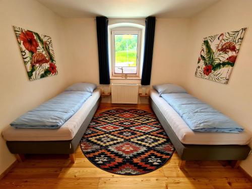 Pielenhofenwohnung-nummer-3的配有地毯和窗户的客房内的两张床