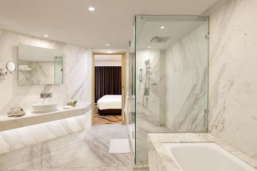 新德里新德里空港骄傲广场酒店的带淋浴和盥洗盆的浴室