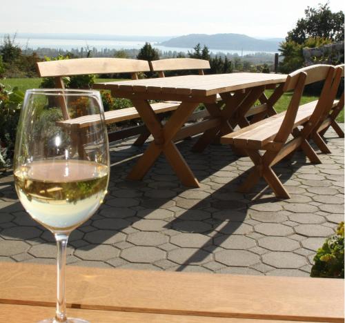 巴拉顿菲赖德Koczor Winery & Guesthouse的坐在桌子上边的一张长凳上的一杯葡萄酒