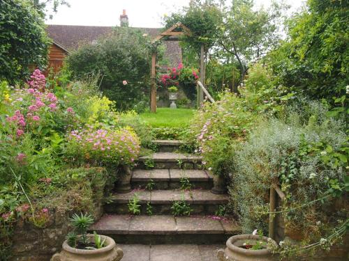 谢伯恩Clare Cottage的花园,花丛和楼梯