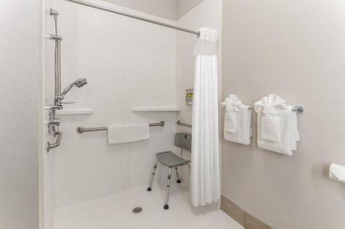 ShilohHoliday Inn Express Hotel & Suites O'Fallon-Shiloh, an IHG Hotel的带淋浴的浴室和椅子