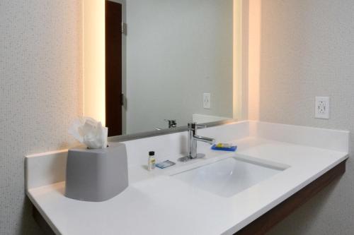 达拉姆达勒姆假日快捷酒店的浴室设有白色水槽和镜子