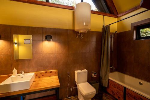 阿鲁沙Shamba lodge cabins的一间带水槽和卫生间的浴室