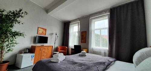特普利采萨拉亚康体旅馆的一间卧室设有一张床和一个大窗户