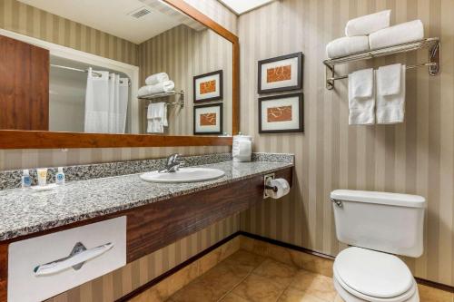萨默维尔Comfort Inn Summerville - Charleston的一间带卫生间、水槽和镜子的浴室