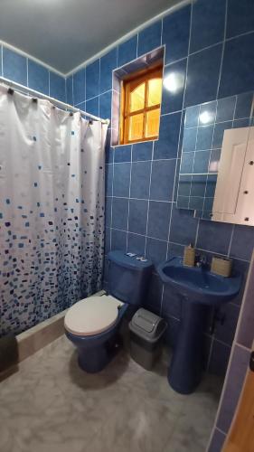 圣佩德罗·德·阿塔卡马La Tribu del Indio的蓝色瓷砖浴室设有卫生间和水槽