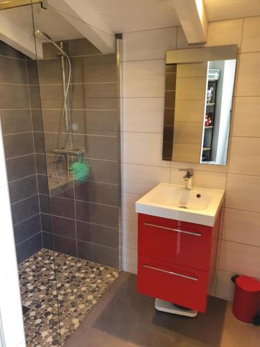 拉弗洛特Appartement le Pas Sage du Marché La Flotte的一间带红色水槽和淋浴的浴室