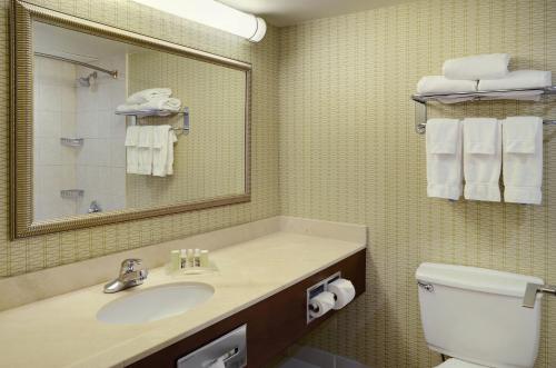 伦敦伦敦假日套房酒店的一间带水槽、镜子和卫生间的浴室