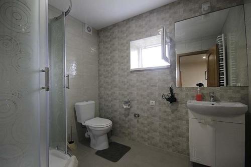 科洛梅亚Садиба "Вояж"的一间带卫生间、水槽和镜子的浴室