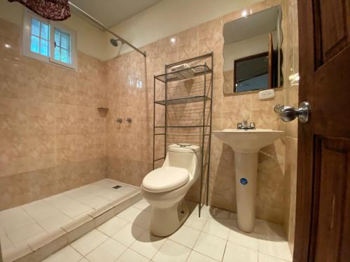 埃尔巴耶Hostal Lopez El Valle Cabañas的浴室配有卫生间、盥洗盆和淋浴。