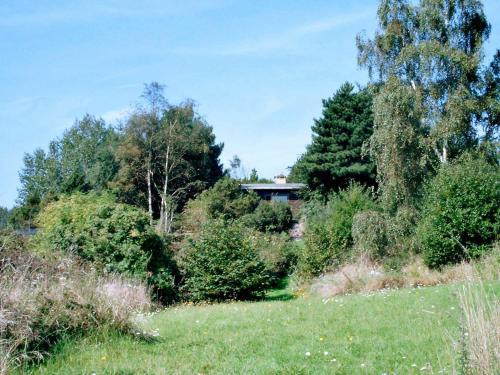 斯波斯比约6 person holiday home in Rudk bing的一片草丛,树丛和房子的背景