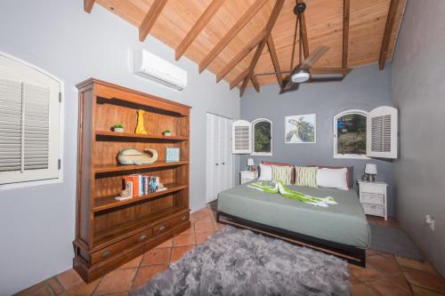 Cruz BayLimetree Cottage at Chocolate Hole的一间卧室设有一张床和一个书架