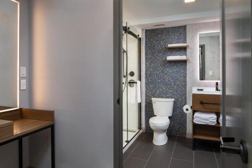 查塔努加Hotel Indigo Chattanooga - Downtown, an IHG Hotel的一间带卫生间和水槽的浴室