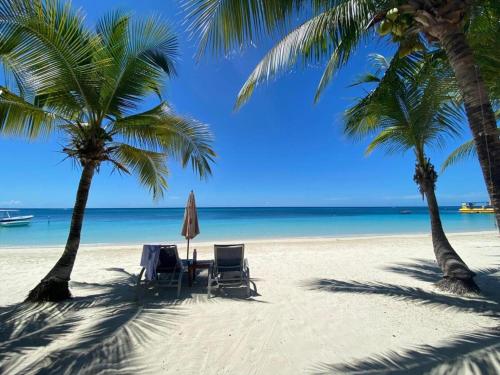 西湾Hotel Posada Seremein Roatan的棕榈树海滩上的两把椅子和一把遮阳伞