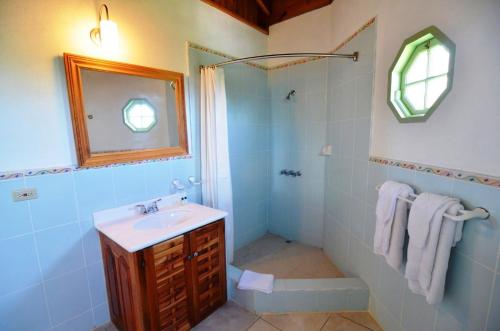 安东尼奥港皮蒙托度假山林小屋的浴室配有盥洗盆和带镜子的淋浴