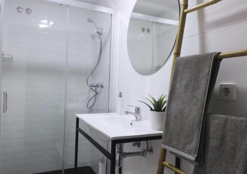 莫切Dunas Jewel Apartment的一间带水槽和淋浴的浴室