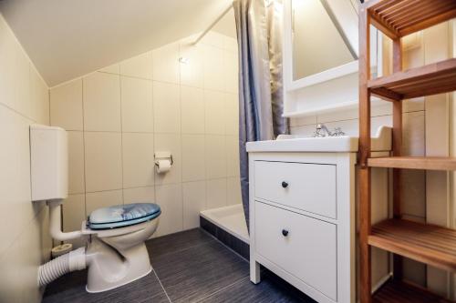 ŠarengradRural House Veranda的浴室配有卫生间、盥洗盆和淋浴。