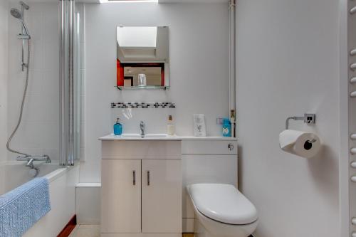 FelbriggAnvil & Stable Cottages的浴室配有卫生间、盥洗盆和淋浴。