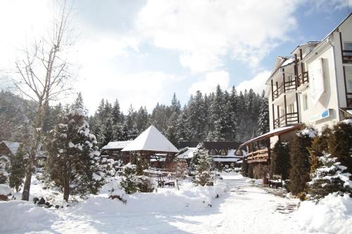 泽德尼耶沃Smerekovyi Dvir的雪地和树木的滑雪小屋