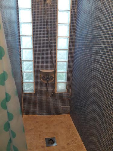 勒唐蓬Ti Bamboo的带淋浴的浴室和窗户