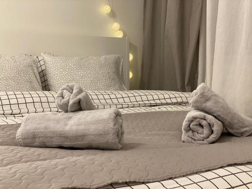 陶格夫匹尔斯Cosy&White apartment in Daugavpils的卧室内的床上的两条毛巾