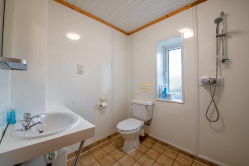 WeathercoteOld School House -Yorkshire Dales National Park的浴室配有卫生间、盥洗盆和淋浴。