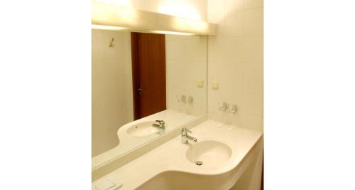 齐陶施瓦泽酒馆式酒店的一间带水槽和镜子的浴室