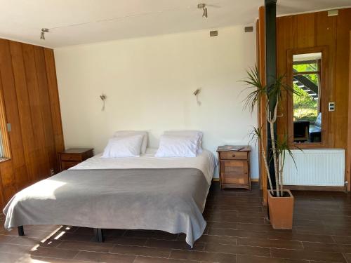 普孔French Andes Apart Hostel的一间卧室配有一张大床和盆栽植物