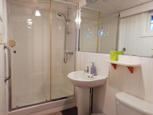WinkleighDevon Eco Lodges的带淋浴和盥洗盆的白色浴室