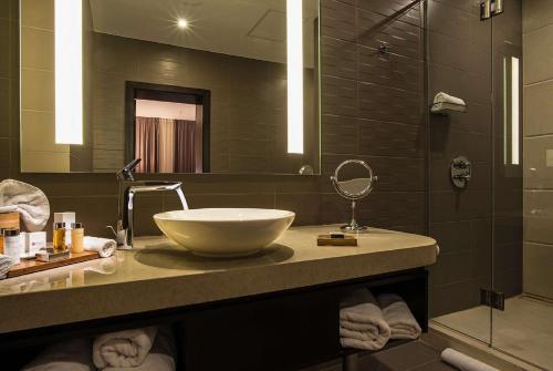索非亚贝斯特韦斯特尊贵酒店索菲亚机场店的一间带一个碗水槽和淋浴的浴室