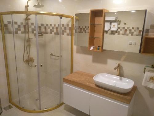 吉布提Golden Airport Hotel的带淋浴和白色盥洗盆的浴室
