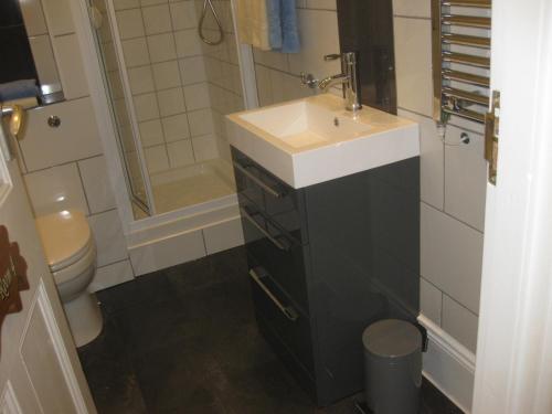 库姆马丁橡子酒店的一间带水槽和卫生间的浴室