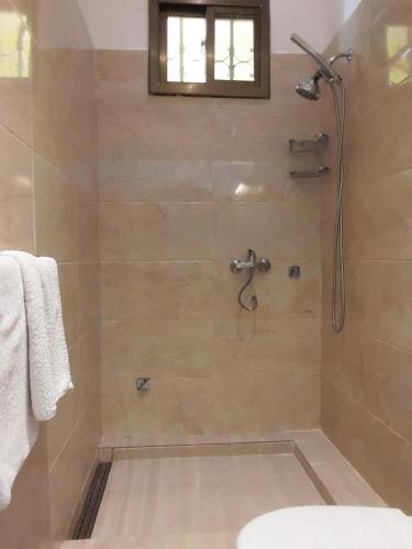 科洛里睿亚公寓的带淋浴的浴室和玻璃门