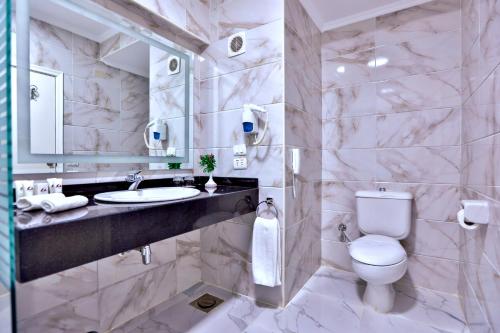 阿斯旺阿斯旺巴斯玛酒店的一间带卫生间、水槽和镜子的浴室