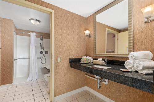 诺福克温德姆花园诺福克市中心酒店的一间带水槽、卫生间和镜子的浴室