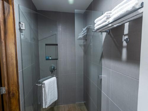 马萨特兰Varali Grand Hotel的设有带淋浴间和卫生间的浴室