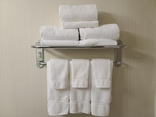 Vadnais HeightsHoliday Inn Express Hotel & Suites-St. Paul, an IHG Hotel的浴室毛巾架上的一堆毛巾