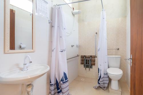 圣塞巴斯蒂安Hotel Veleiro的一间带水槽、卫生间和淋浴的浴室