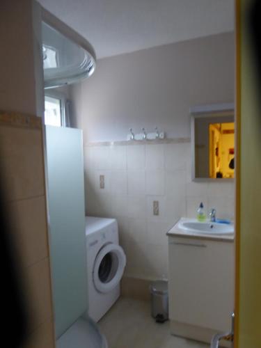 阿热莱斯加佐斯特Les Berges Du Gave D'azun的一间带水槽和洗衣机的浴室
