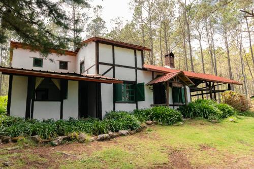 孔斯坦萨Villa Pajon Eco Lodge的白色的房子,有绿门和树木